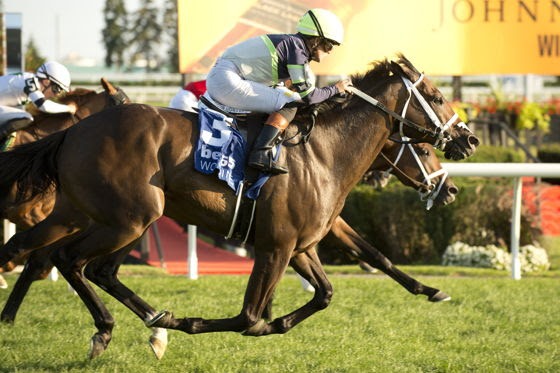 Gas Me Up winning the King Edward Stakes at Woodbine