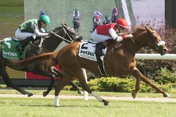 Woodbine Canadian Sales Stakes 2026 four-race programme