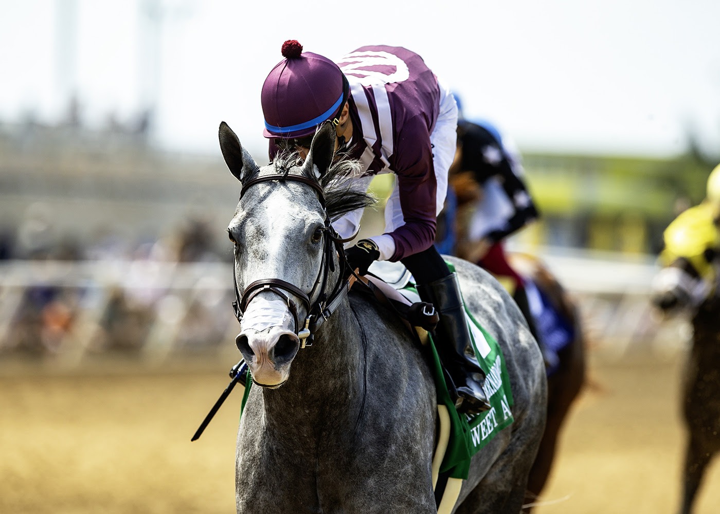 Sweet Azteca competing in the Rancho Bernardo Stakes at Del Mar