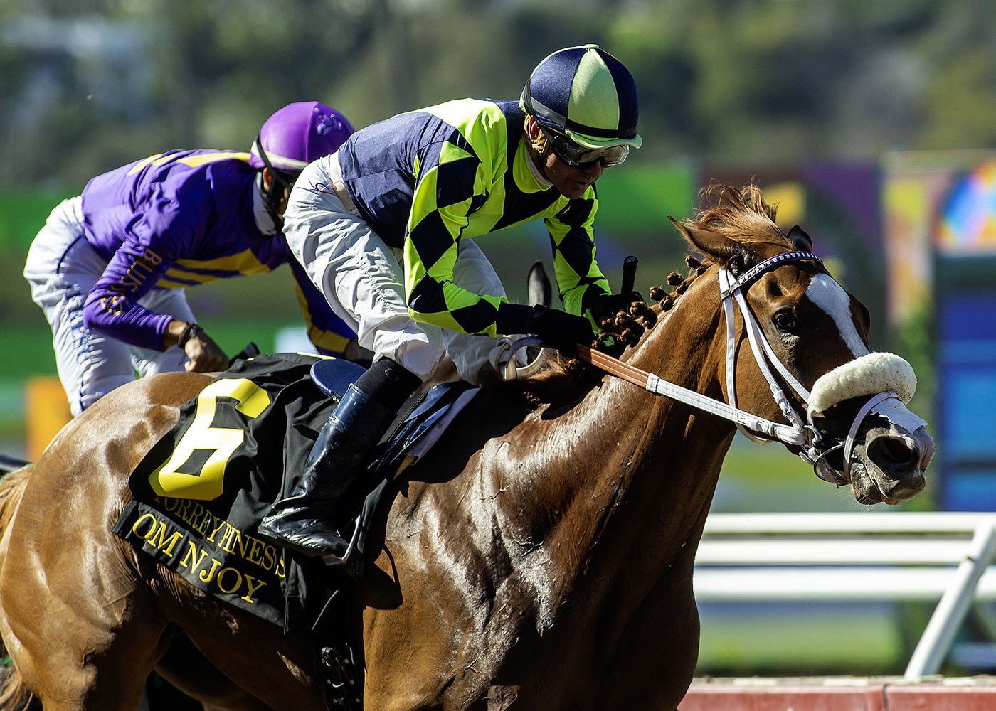 Pacific Classic 2026 contenders preparing for the Grade 1 race at Del Mar