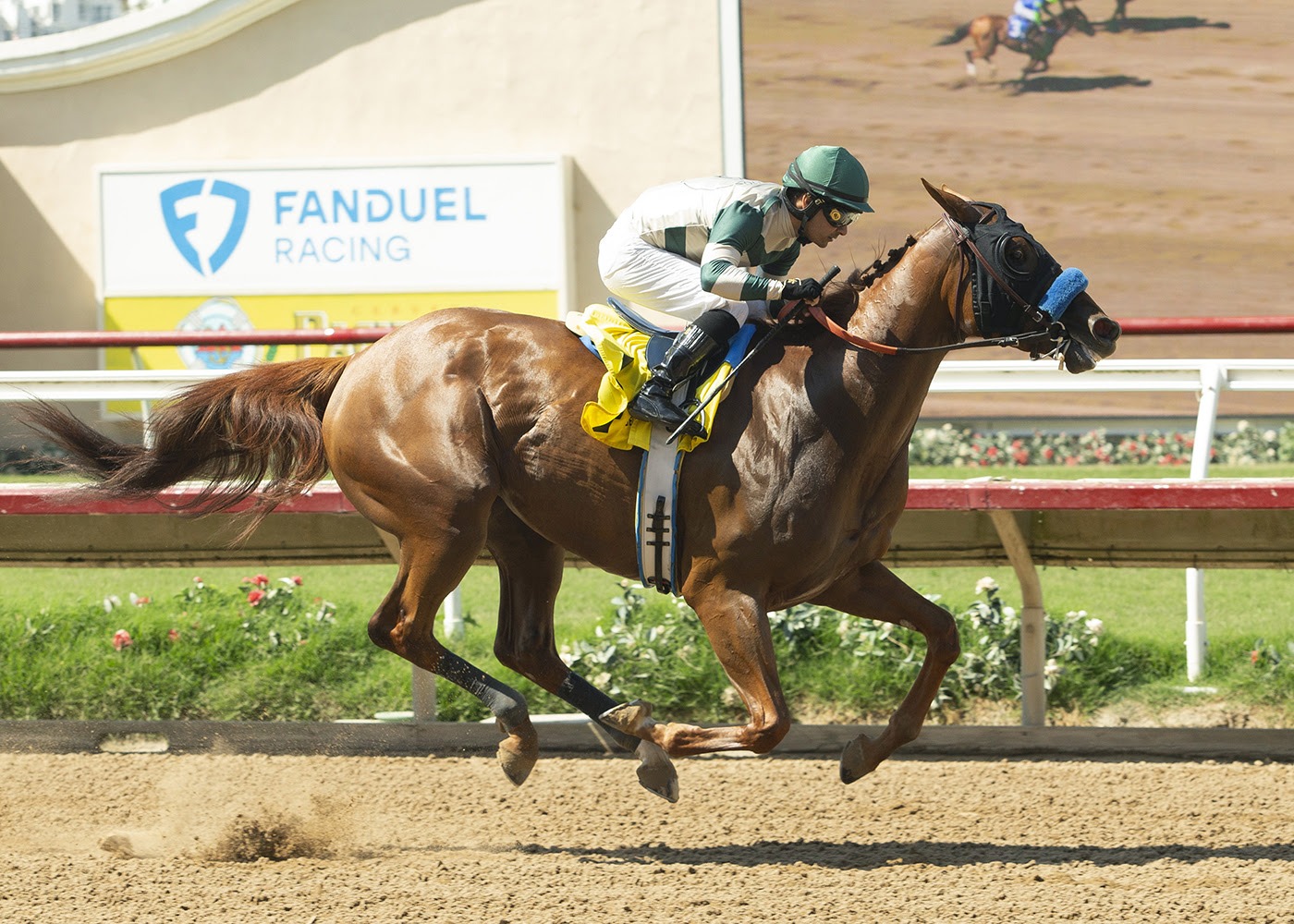 Rabeeba set to contest the Torrey Pines Stakes at Del Mar