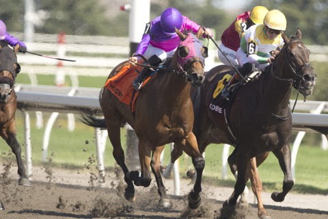 Souped Up wins the Bold Venture Stakes at Woodbine