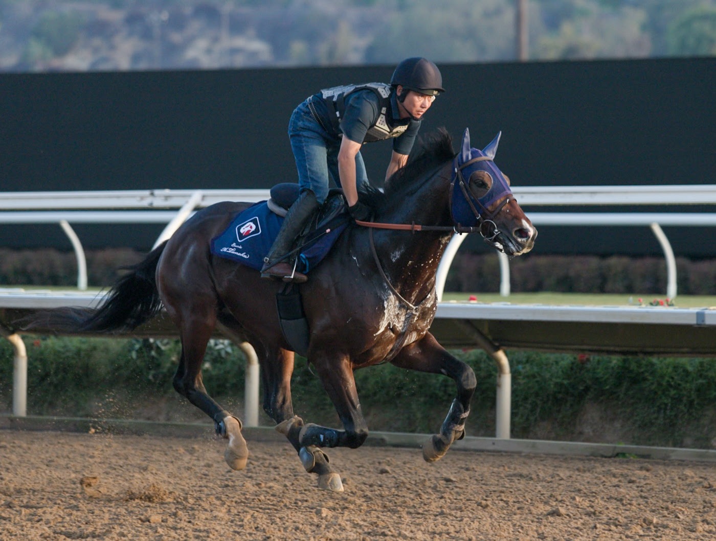 Pacific Classic 2026 runners preparing for the Grade 1 race at Del Mar