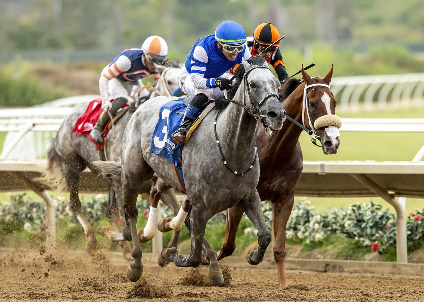 Rodrigoknows wins the Del Mar allowance feature