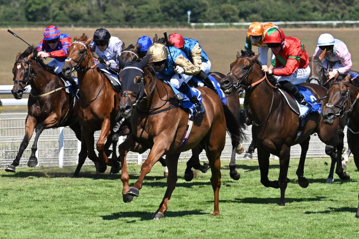 Archivist Wins Golden Mile at Qatar Goodwood Festival
