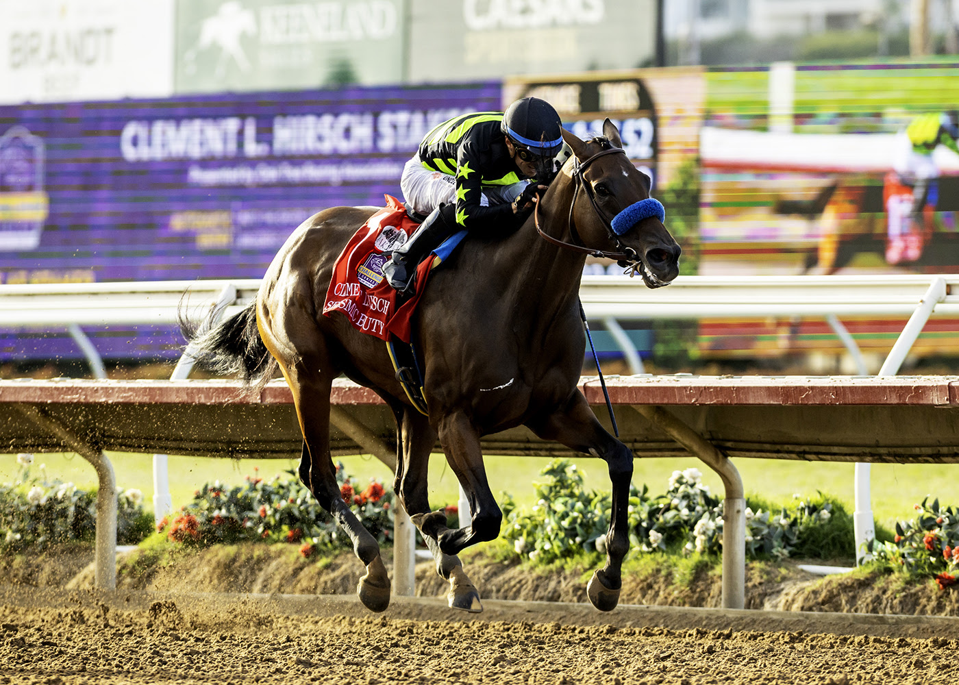 Seismic Beauty preparing for the G1 Clement L. Hirsch Stakes at Del Mar