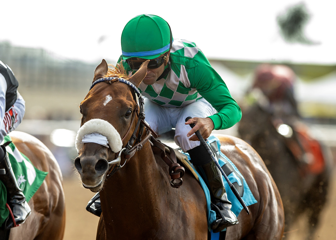 He’s a Knockout winning the Real Good Deal Stakes at Del Mar with Joel Rosario