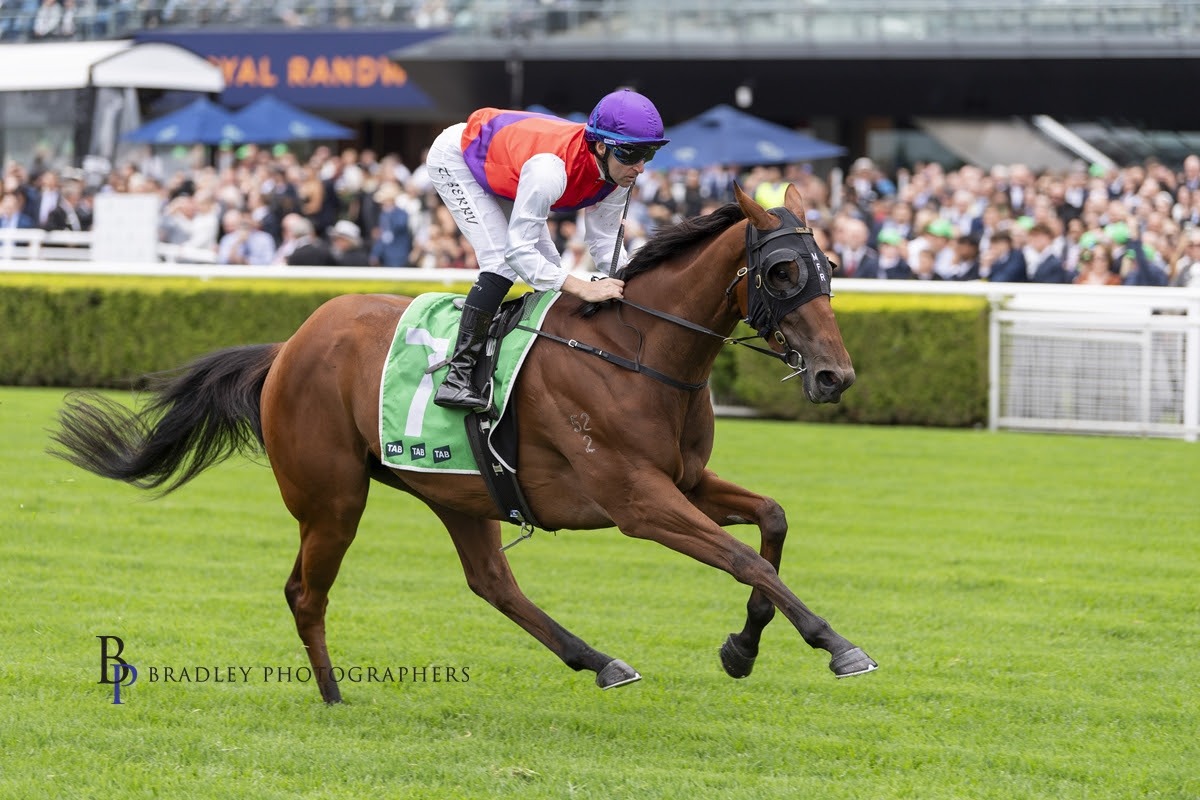 Profoundly featured in the Inglis Digital August Late Online Sale
