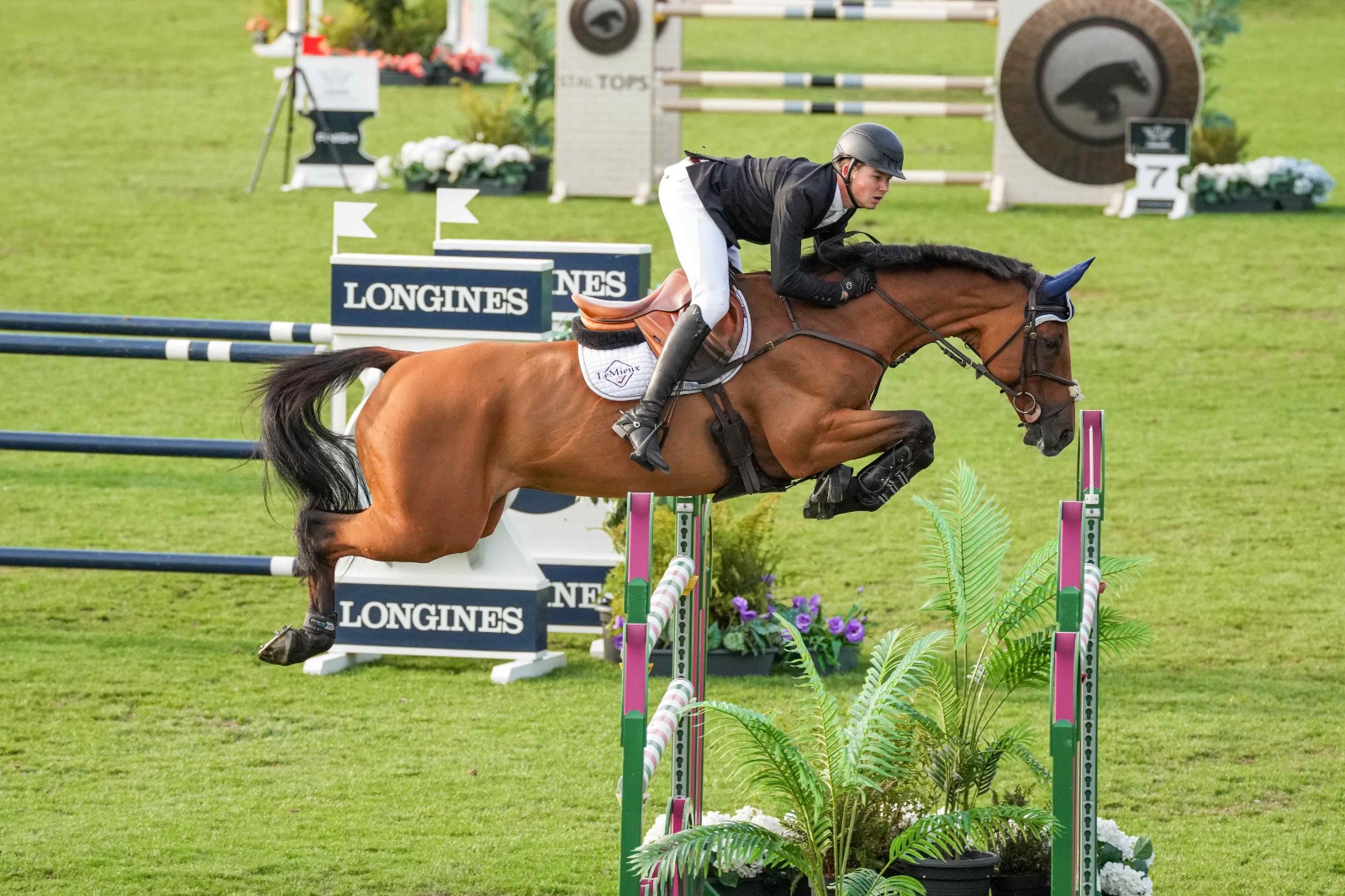 Harry Charles riding Bandit during the CSI4* 1.50m Grand Prix Qualifier at Longines Global Future Champions