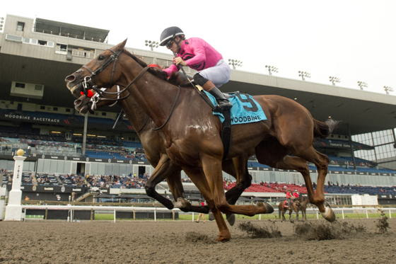 Paramount Prince Wins Seagram Cup 2026 at Woodbine
