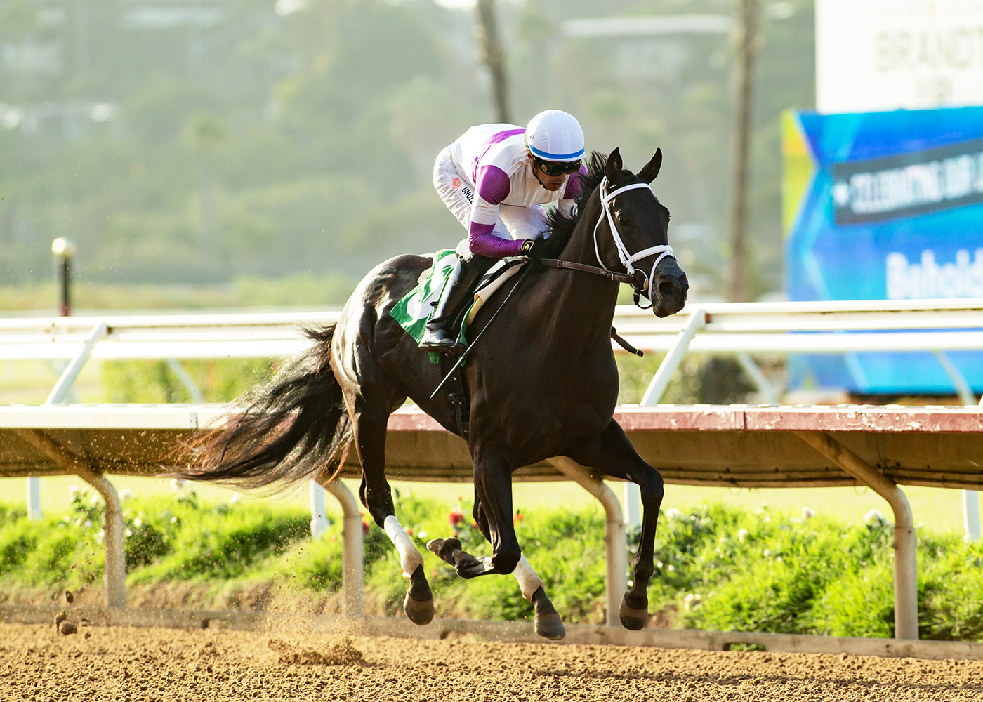 Free Closer winning the CTBA Stakes at Del Mar by eight and a quarter lengths