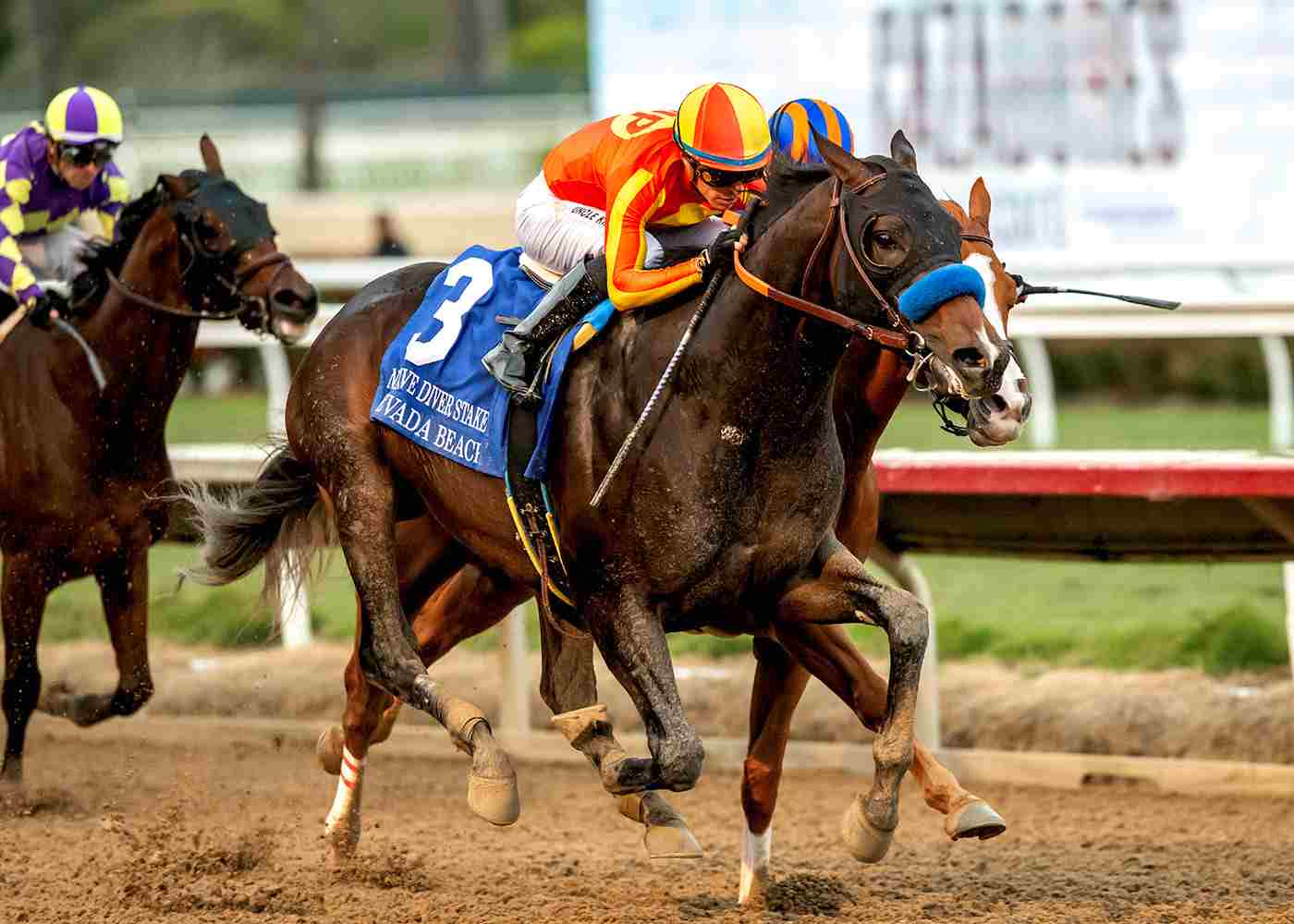 Nevada Beach among the leading contenders for the 2026 Pacific Classic at Del Mar.