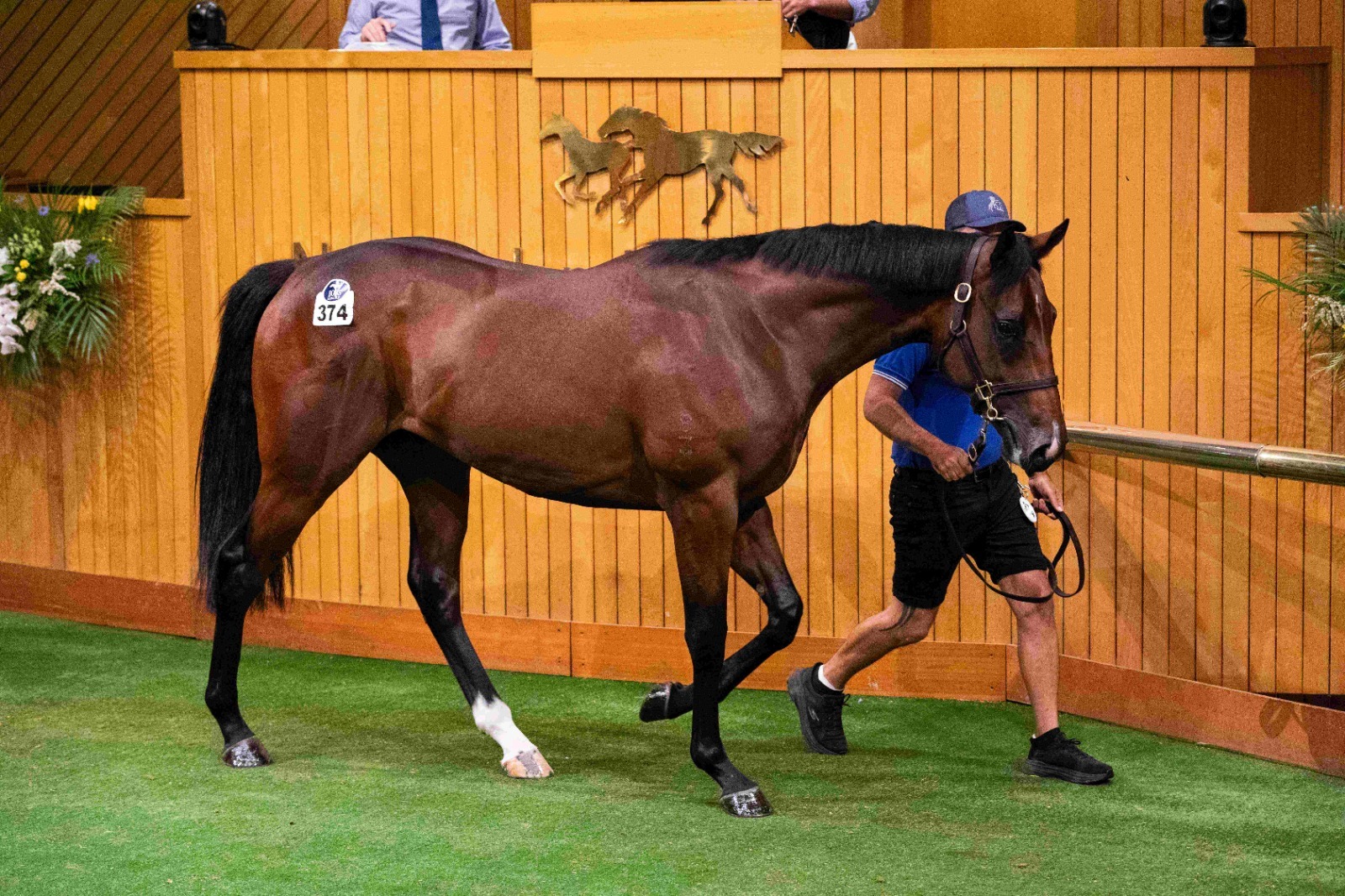 2026 Ready to Run Sale catalogue at Karaka