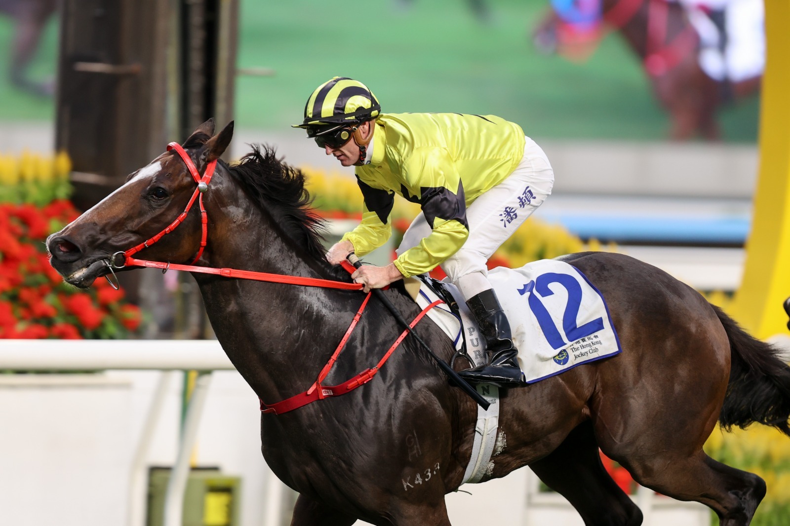 Purton Strikes Twice at Sha Tin during the Hong Kong racing season