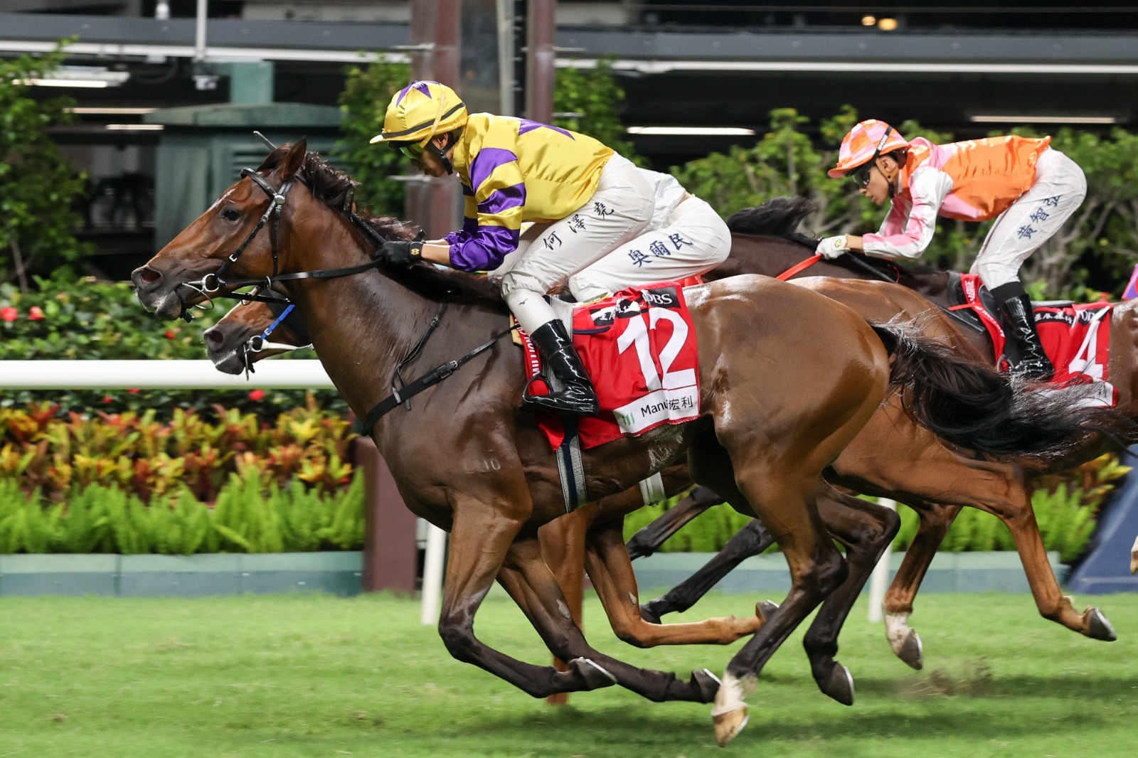 Le Zonda Happy Valley winner at Happy Valley Racecourse