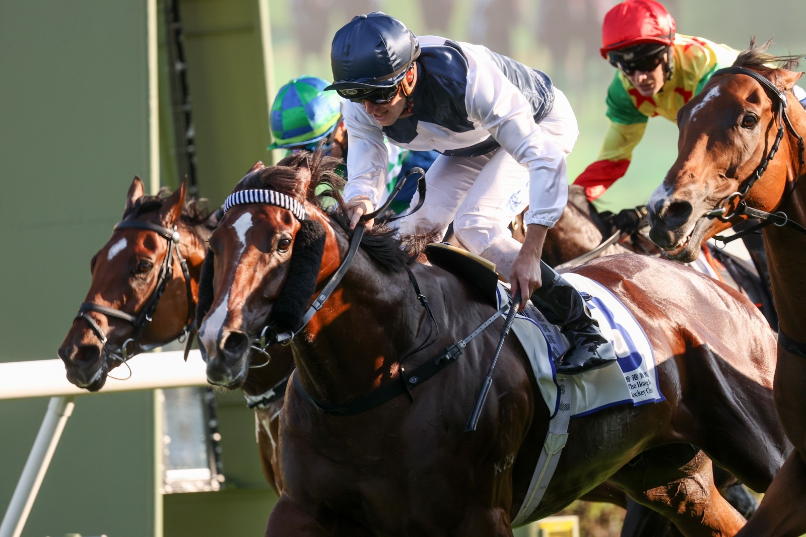 Invincible Ibis wins the G3 Celebration Cup at Sha Tin Racecourse
