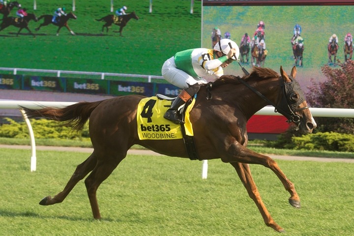 English Actor and Side Street ahead of Singspiel Stakes 2026 at Woodbine