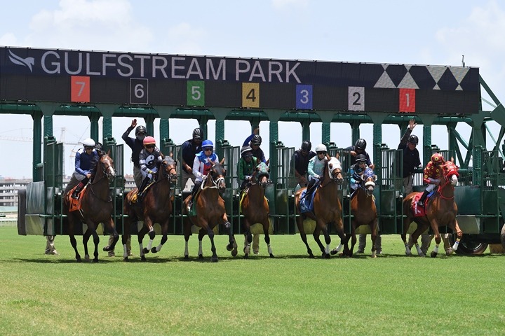 Gulfstream Park Sunshine Meet 2026 ahead of Princess Rooney