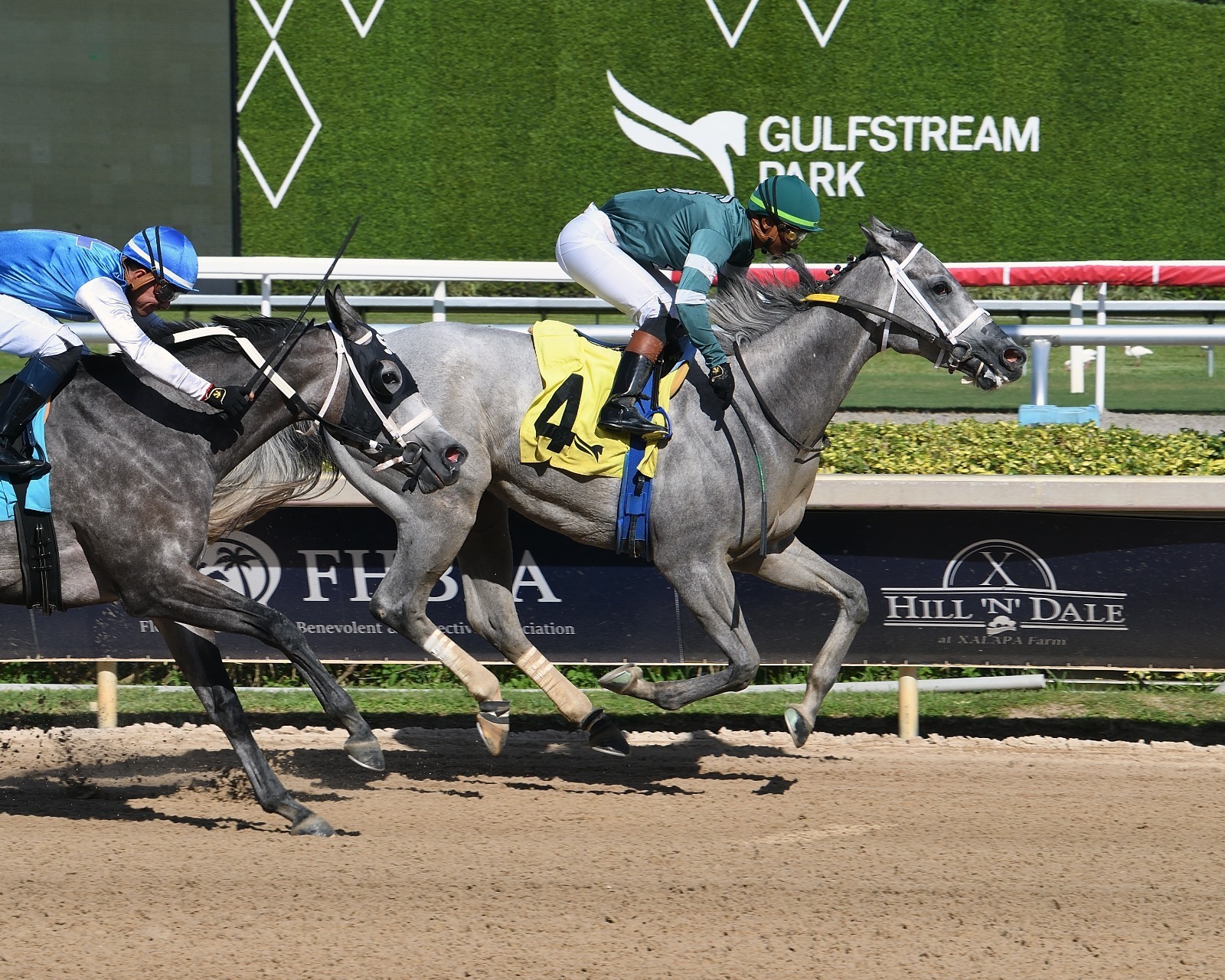 Friday Gulfstream races at Gulfstream Park