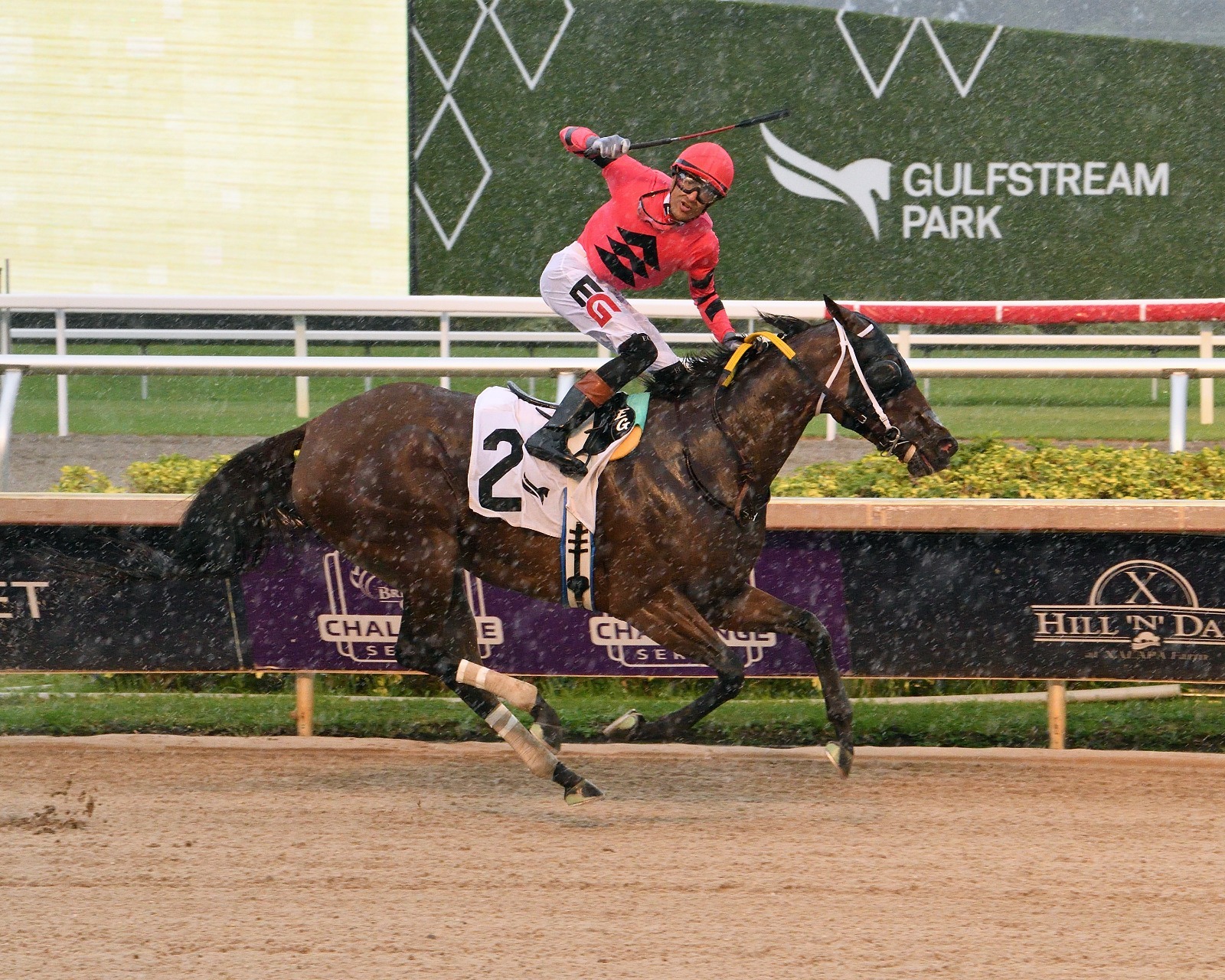 Kerry’s Kiss wins the Princess Rooney at Gulfstream Park