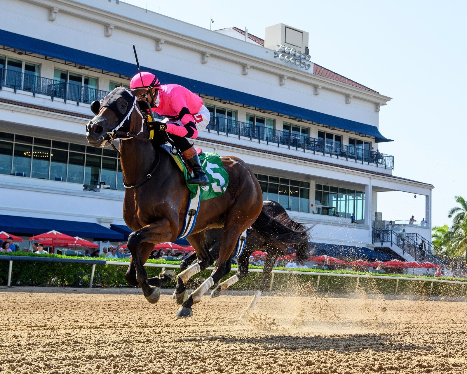 Princess Rooney contenders at Gulfstream Park