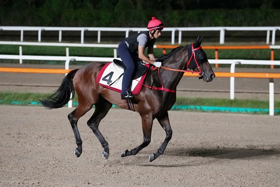 Richard Kingscote and Gorgeous Win ahead of Korea Sprint 2026