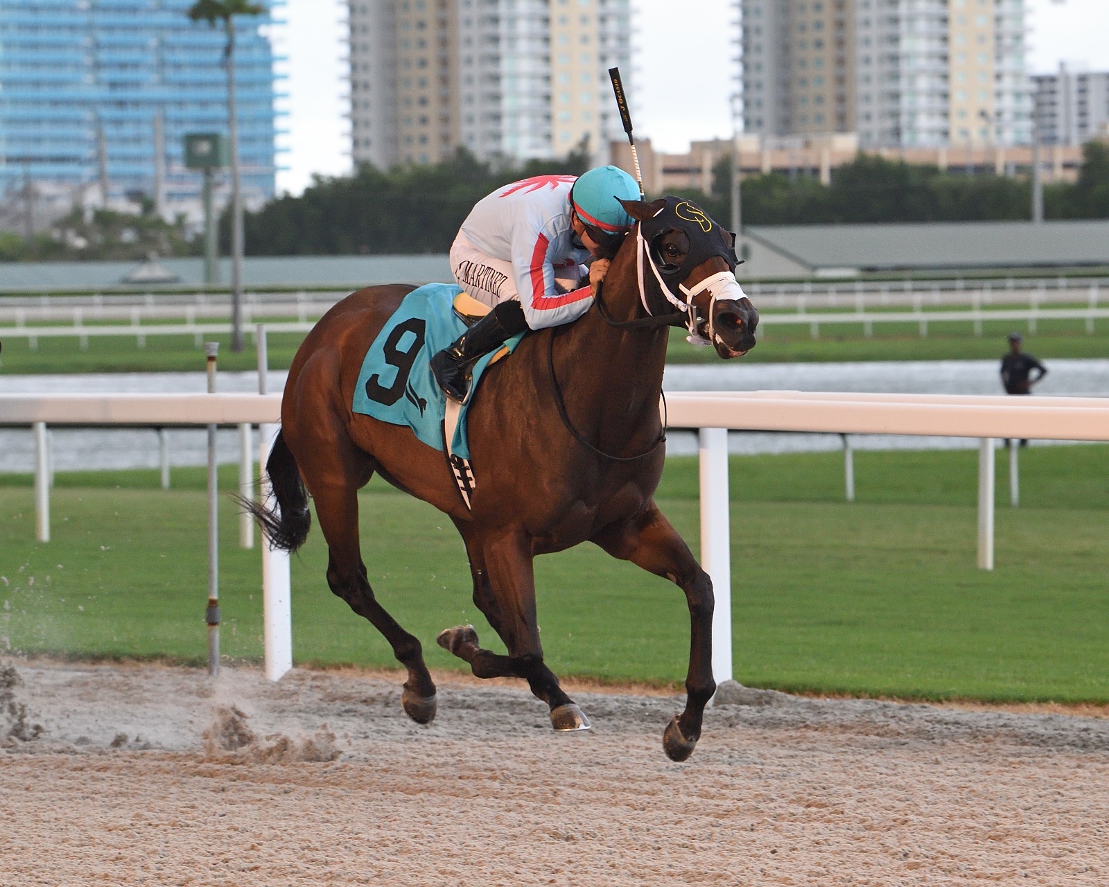 Gulfstream Park race results featuring Mattingly in the Bob Umphrey Sprint