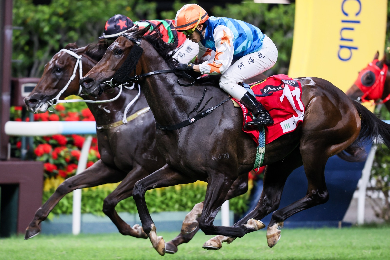 Happy Valley Race Results: Ho Lands Treble