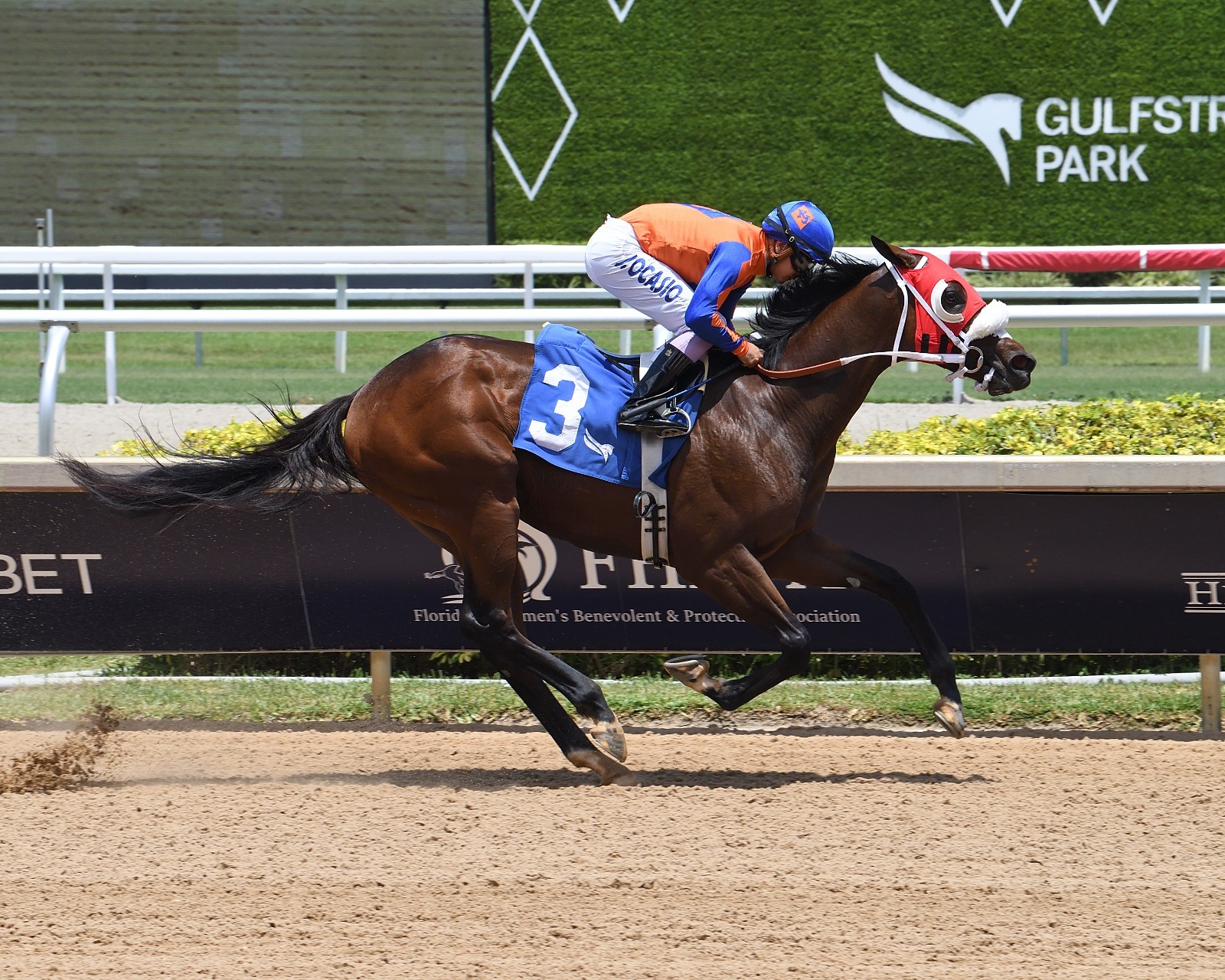 Sum of Success at Gulfstream Park ahead of possible Breeders Cup opportunity