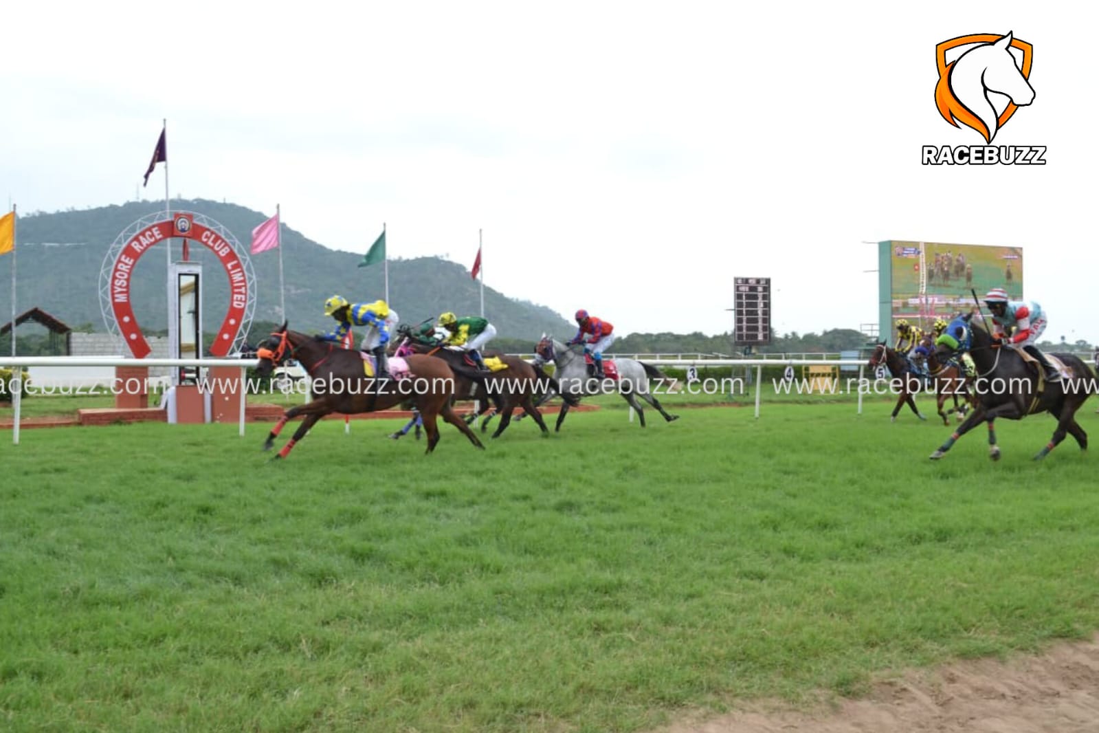 Mysore Race Results 24 September featuring Masato at Mysore Race Club