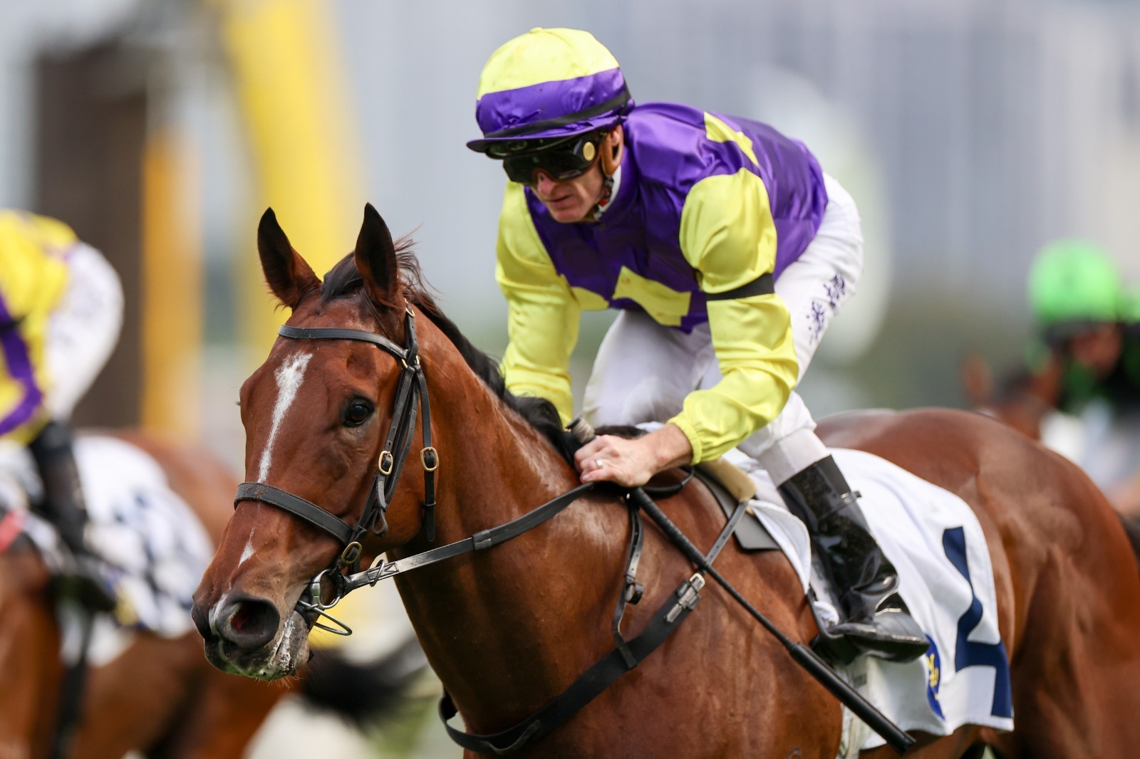 Colourful King prepares for the National Day Cup at Sha Tin