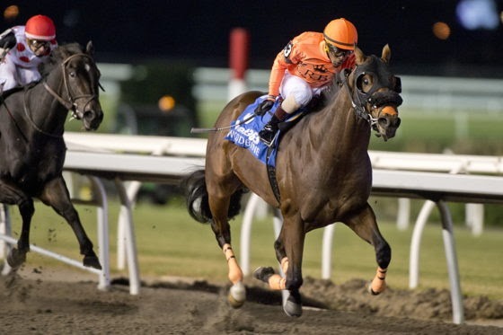Buium and Wicked Django ahead of Woodbine racing stakes