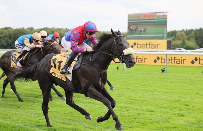 Haydock Racecards 3 September seven-race Thursday card