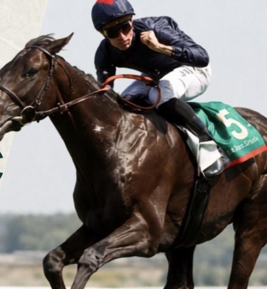 ParisLongchamp racecards 3 September 2026 at ParisLongchamp Racecourse