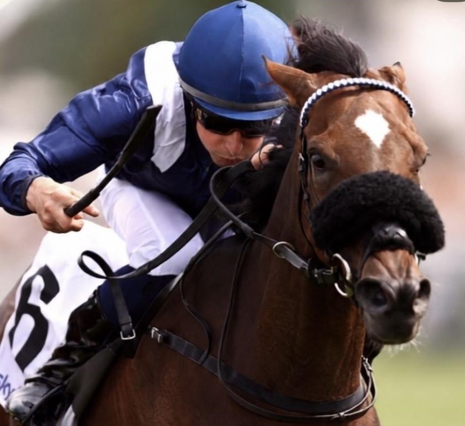 Vichy racecards 3 September 2026 at Vichy Racecourse