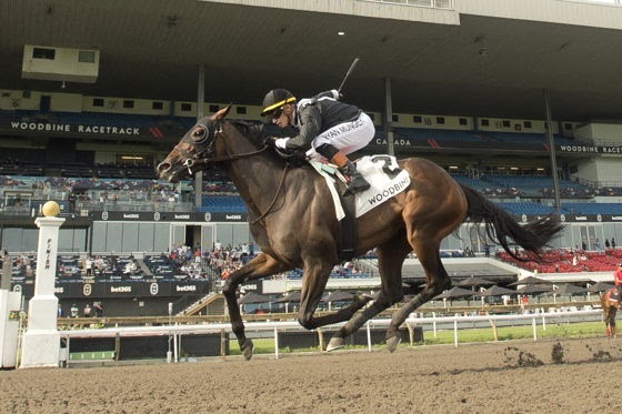 Wonder Where Stakes field preparing for the Canadian Triple Tiara finale at Woodbine