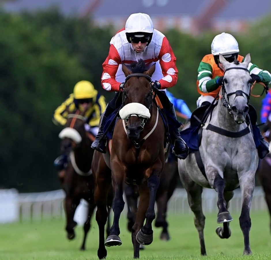 Newton Abbot racecards 7 September 2026 National Hunt racing at Newton Abbot Racecourse