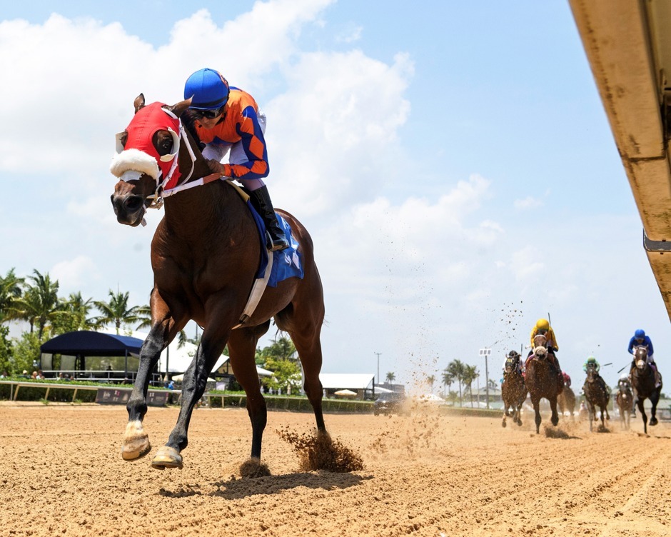 Gulfstream Park Racecards 6 September 2026 featuring Sum of Success in the FHBPA Express Tour