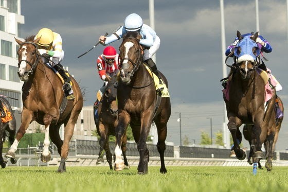 Singspiel Stakes 2026 winner Tomasello racing at Woodbine