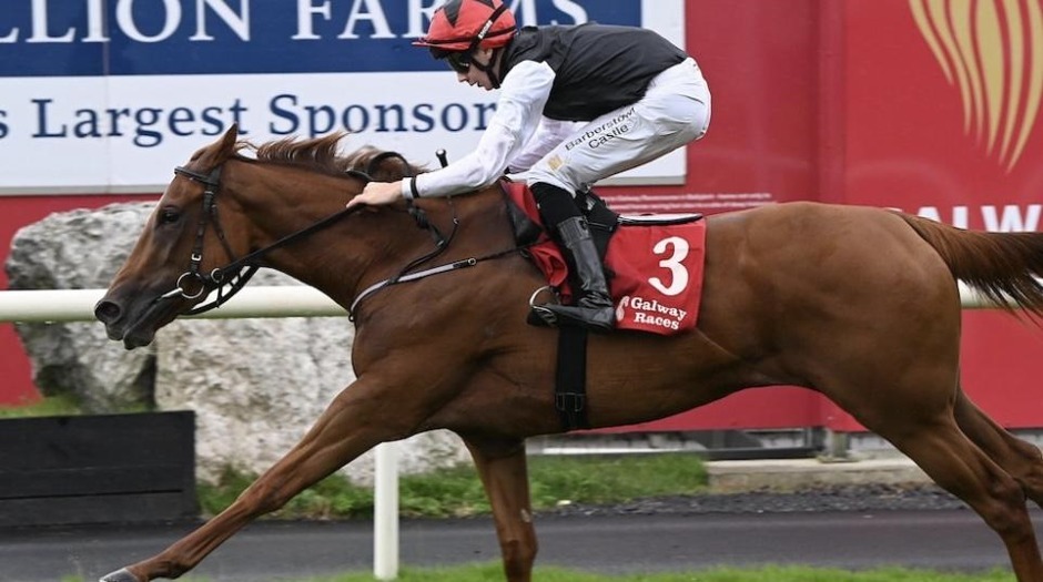 Galway 7 September 2026 Deacy Gilligan Hurdle runners