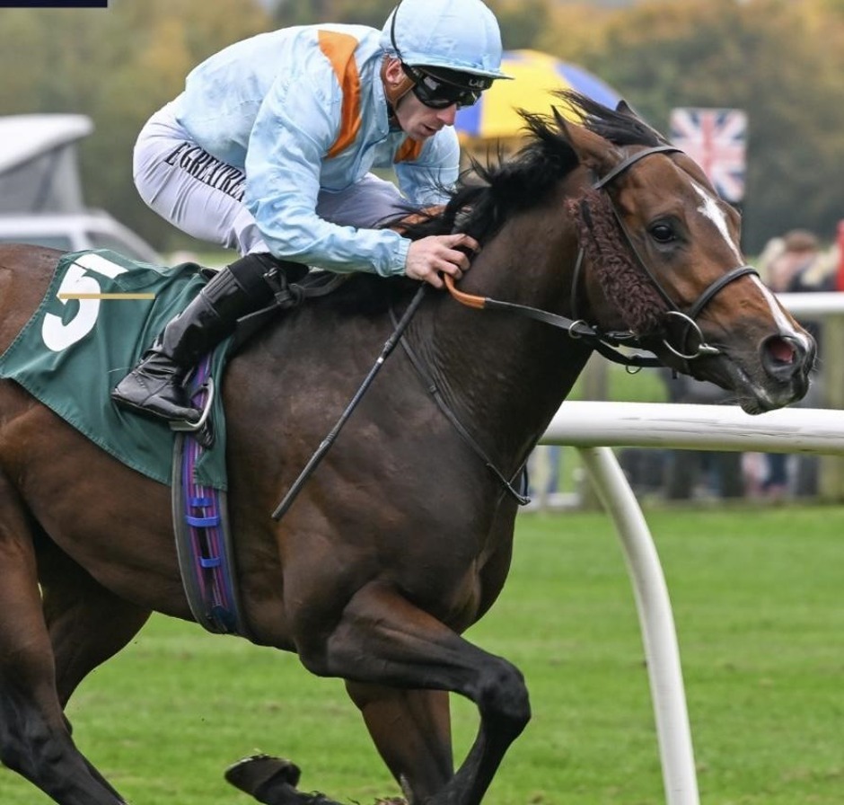 Catterick Bridge racecards 8 September race meeting preview