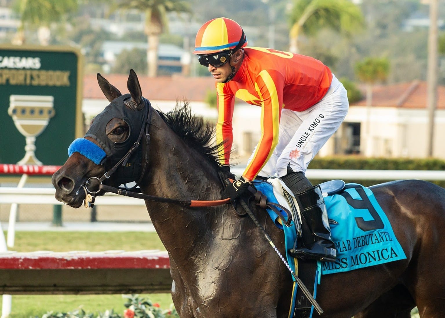 Del Mar Stakes winners Miss Monica, Observed and Magnificat