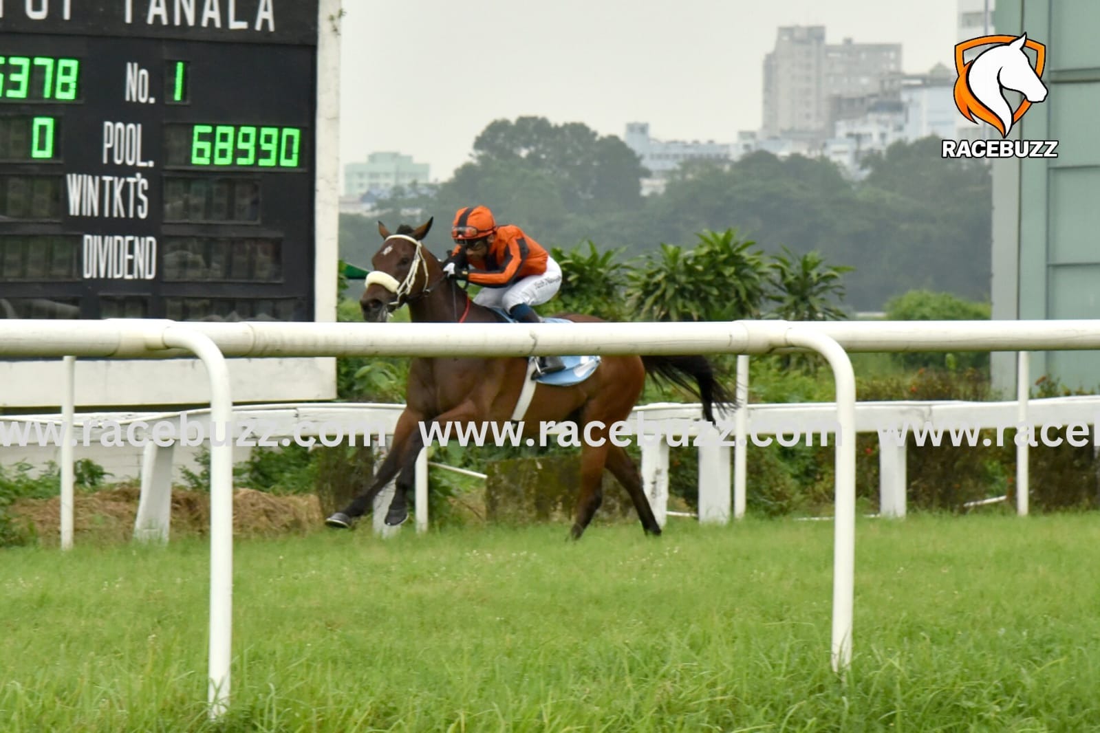 RCTC Race Results 4 October featuring Saiko and A Sandesh after Calcutta Monsoon Derby victory