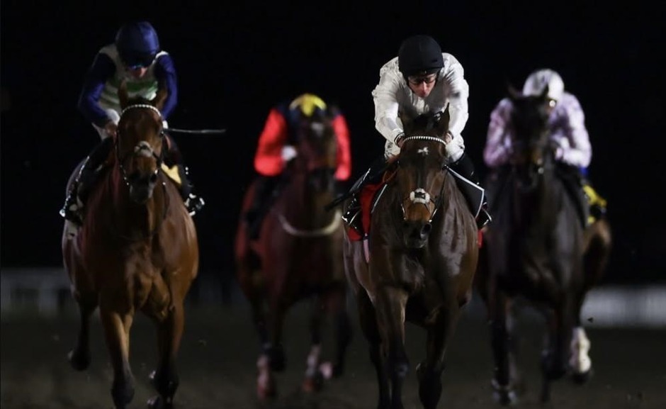 Kempton Park racecards 9 September 2026 at Kempton Park Racecourse