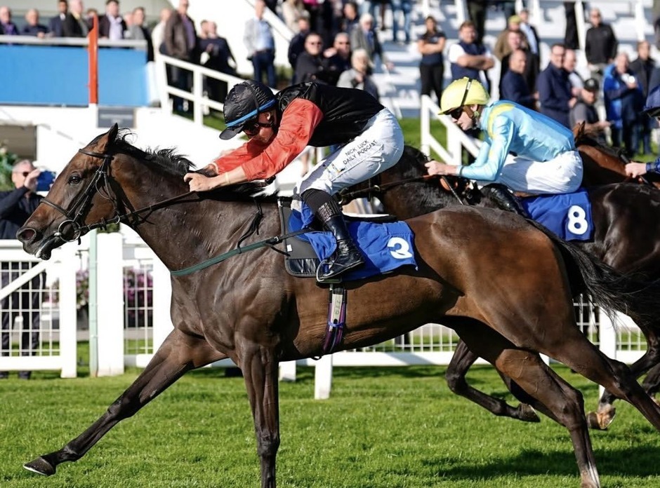 Carlisle racecards 9 September 2026 at Carlisle Racecourse
