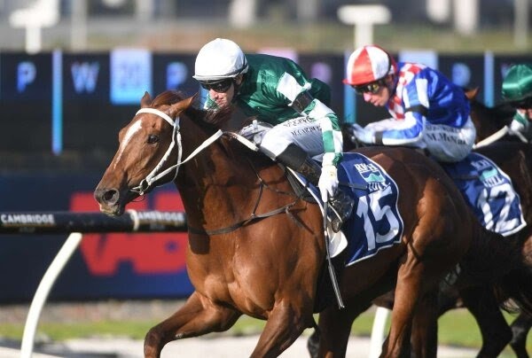 Well Written winning the Proisir Plate at Ellerslie Racecourse