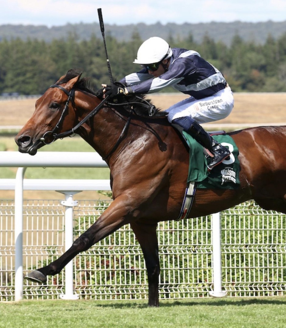 Doncaster racecards 10 September 2026 flat racing at Doncaster Racecourse