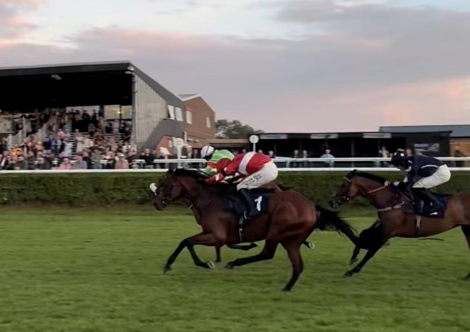 Sedgefield racecards 9 September 2026 National Hunt racing at Sedgefield Racecourse