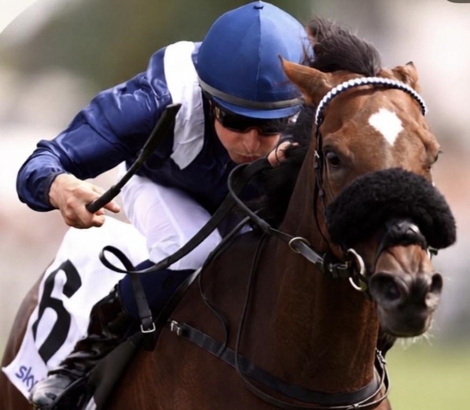 Saint-Cloud racecards 25 September 2026 French flat racing at Saint-Cloud Racecourse