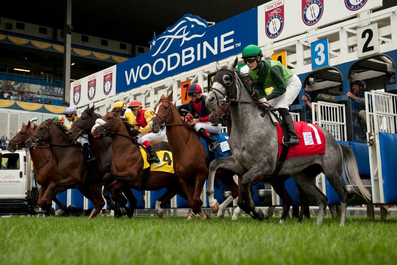 Woodbine Mile and E.P. Taylor Stakes post position draws